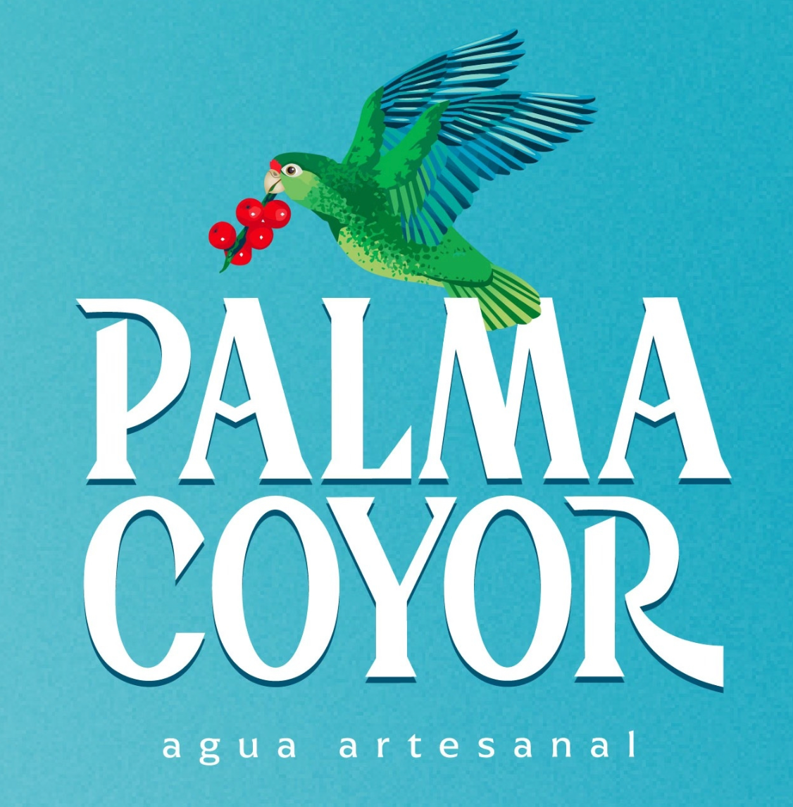 Palma Coyor